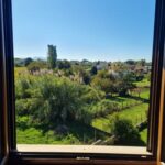 Camera delle Camelie